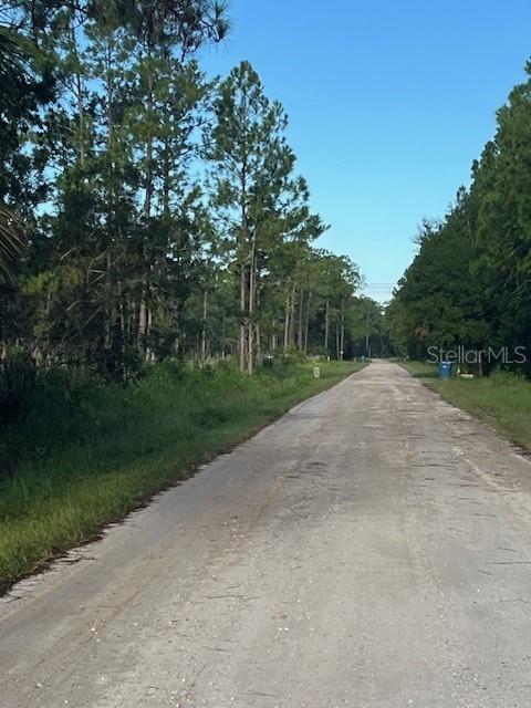 1117 PINEY WOODS TRAIL