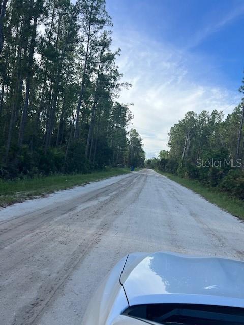 1117 PINEY WOODS TRAIL