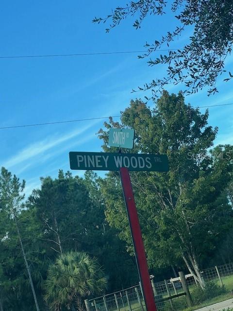 1117 PINEY WOODS TRAIL