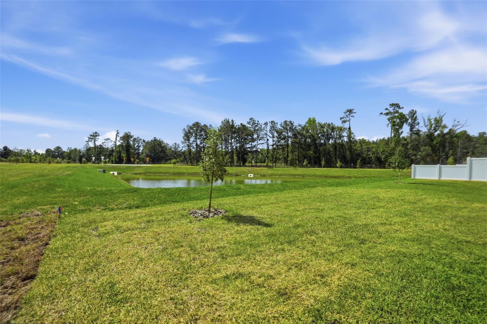 7491 MIA VINE DRIVE
