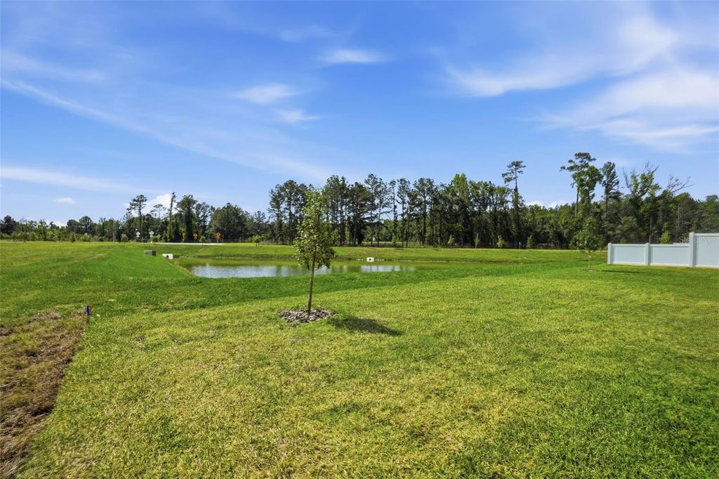 Photo of 7491 Mia Vine Drive, Brooksville, FL 34601 (MLS # W7885126)
