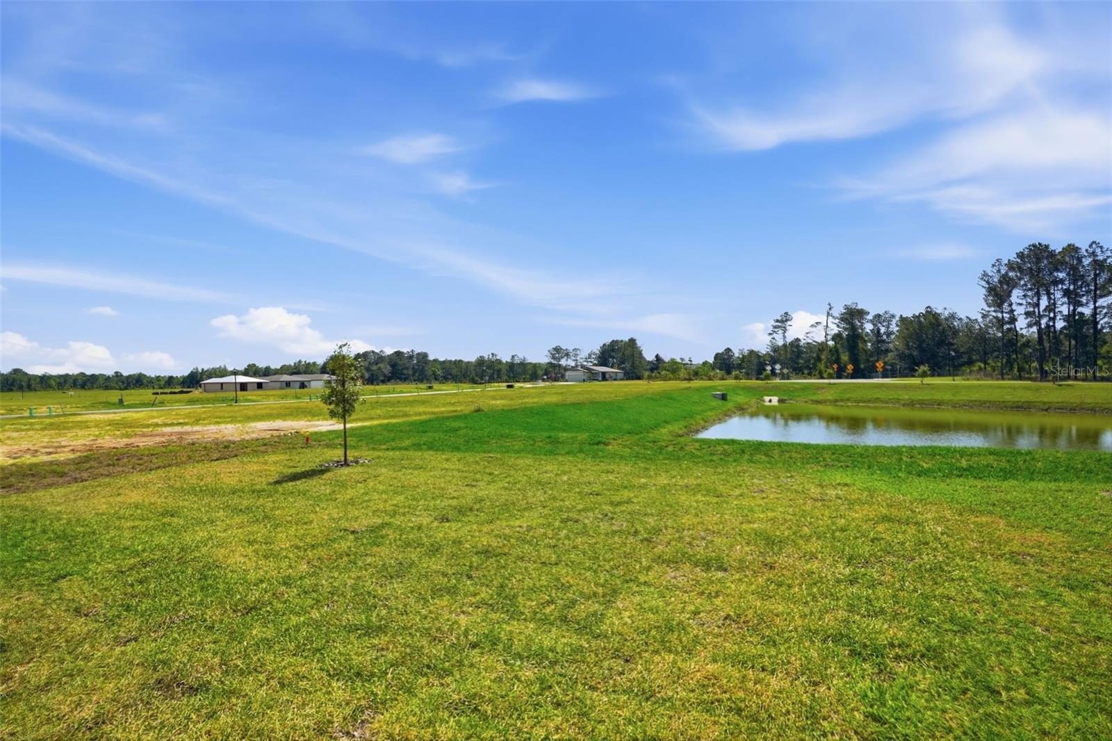LEYLAND PRESERVE - Residential