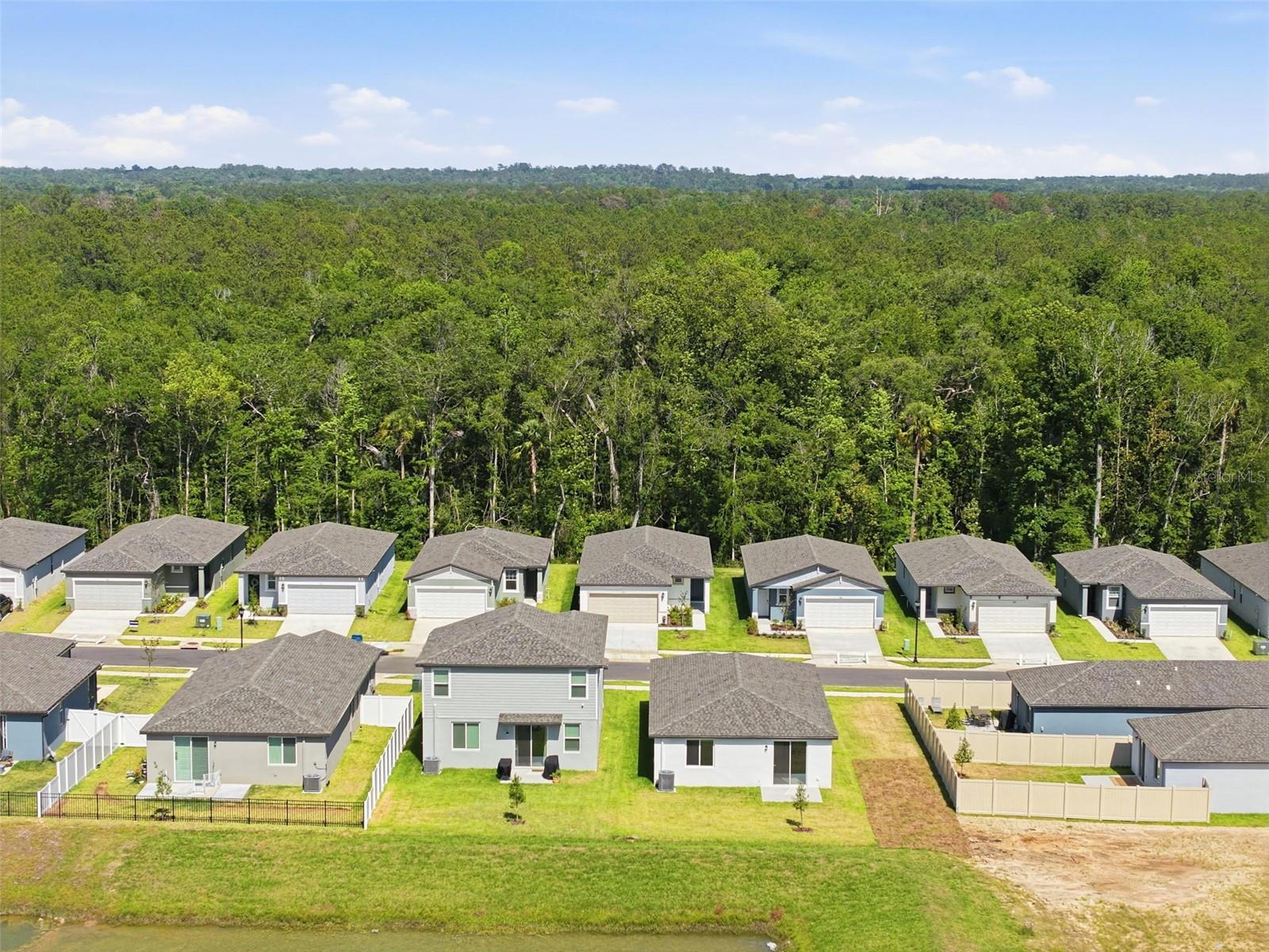 LEYLAND PRESERVE - Residential