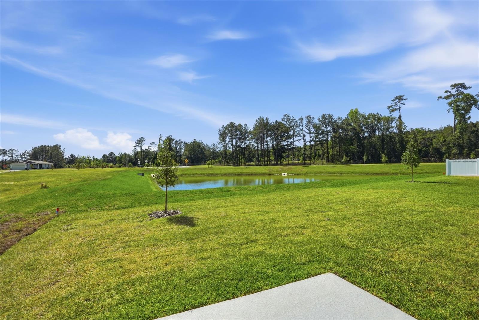 LEYLAND PRESERVE - Residential