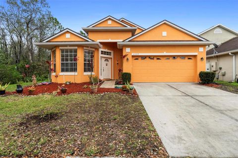 A home in ORLANDO