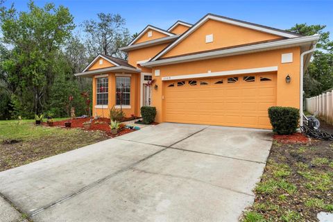 A home in ORLANDO