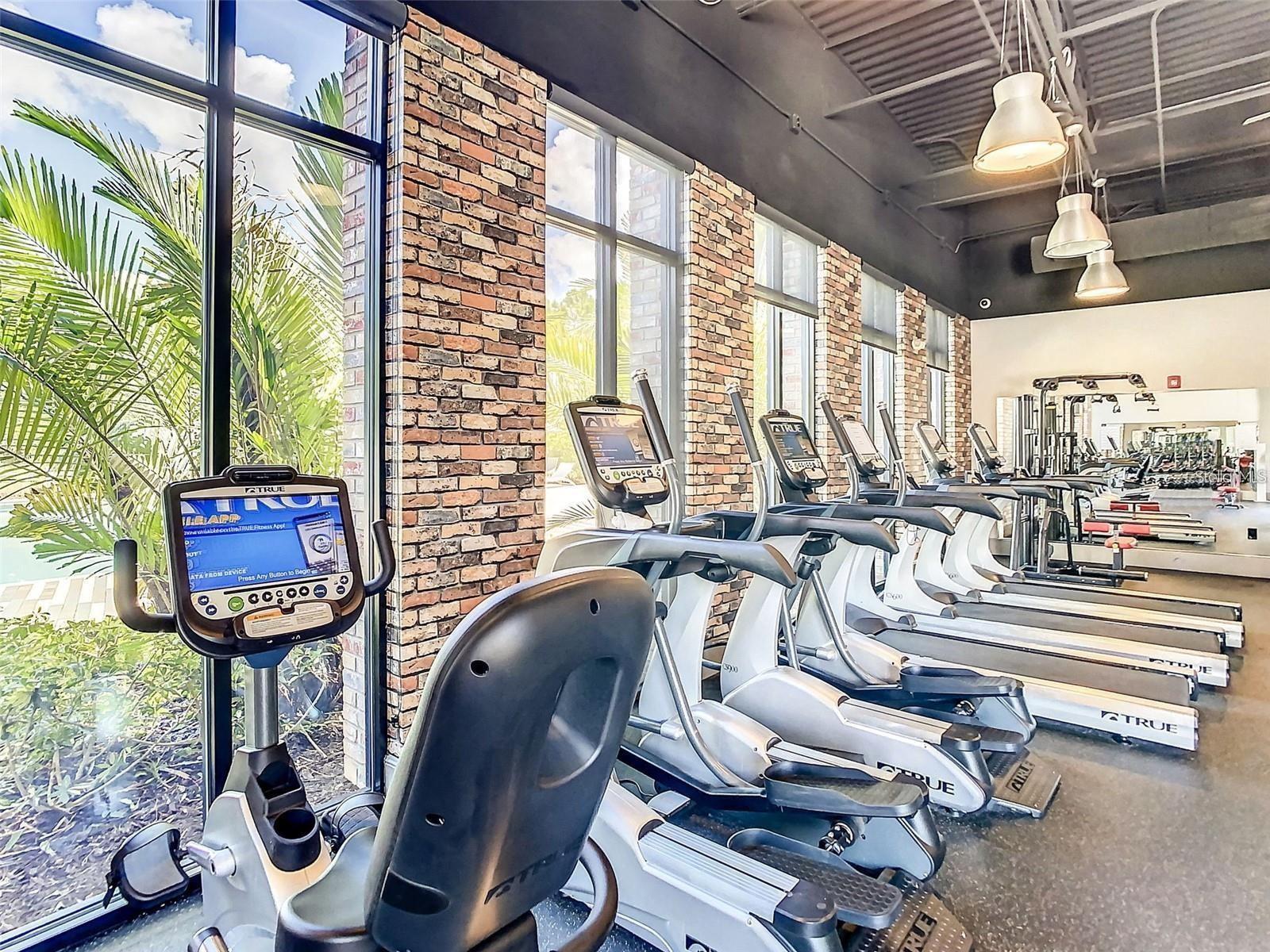 FESTIVAL PHASE 2 - Residential