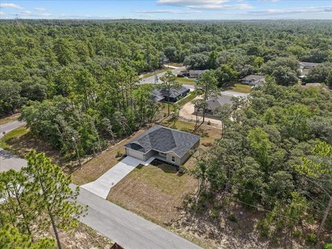 Tiny photo for 6447 N New Japan Terrace, Citrus Springs, FL 34434 (MLS # OM711642)