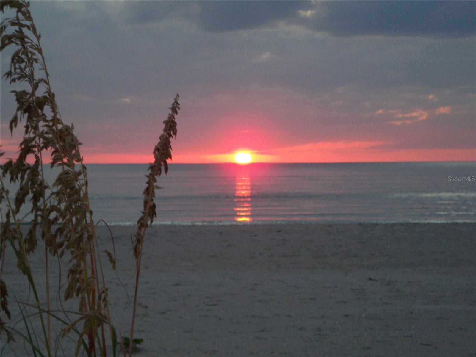 PALM ISLAND ISLAND - Residential