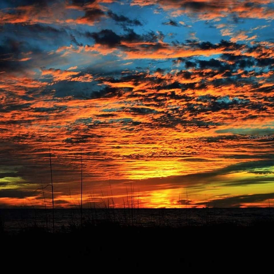 PALM ISLAND ISLAND - Residential