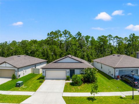 A home in WESLEY CHAPEL