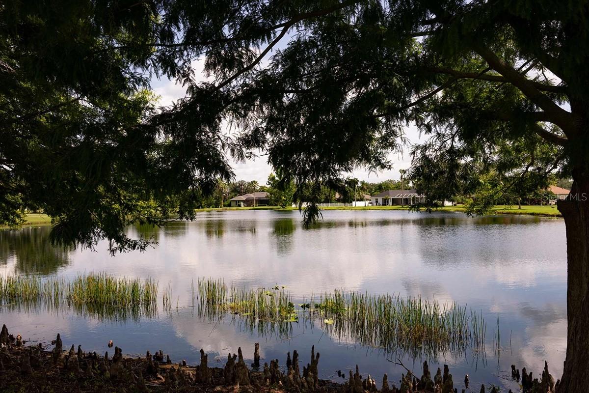 EASTLYN - Residential