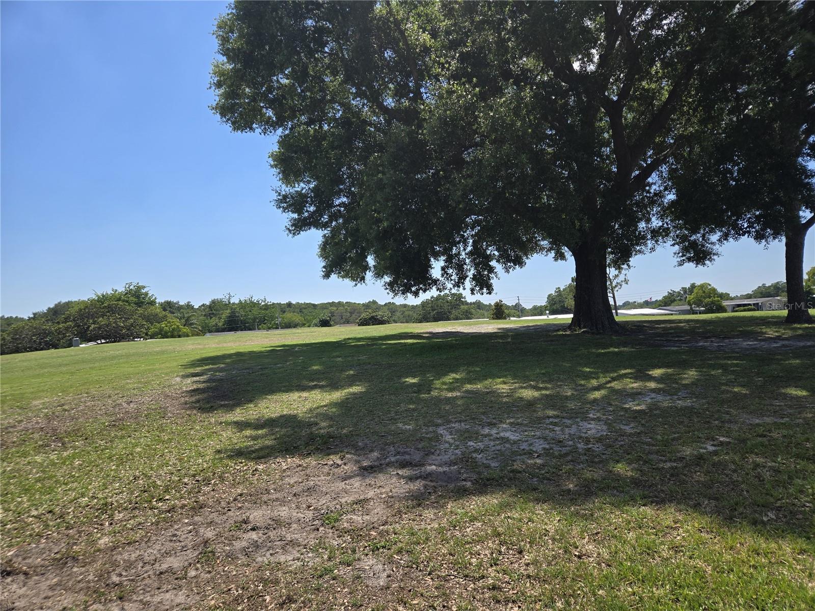 ZELLWOOD STATION COOP MH PARK - Residential