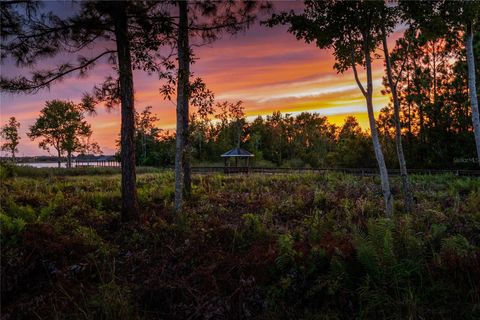 Tiny photo for 2016 Castelli Boulevard, Mount Dora, FL 32757 (MLS # O6334023)