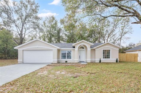 Photo of 1120 Dunbridge Street, Apopka, FL 32703 (MLS # O6387775)