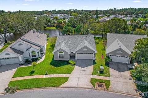 A home in NEW SMYRNA BEACH