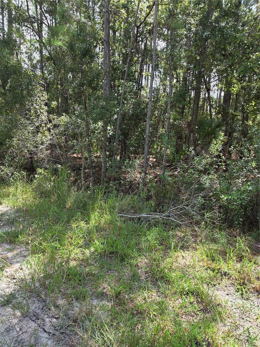 Photo of SW 140th Ave, Ocala, FL 34481 (MLS # FC321597)