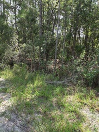 SW 140TH AVE OCALA FL 34481