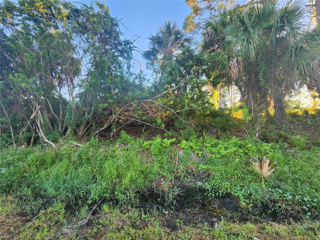 Photo of Lucaya Avenue, North Port, FL 34286 (MLS # C7516289)