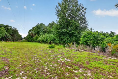 Tiny photo for Kilker Road, Paisley, FL 32767 (MLS # G5113158)