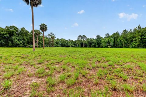 Tiny photo for Kilker Road, Paisley, FL 32767 (MLS # G5113158)