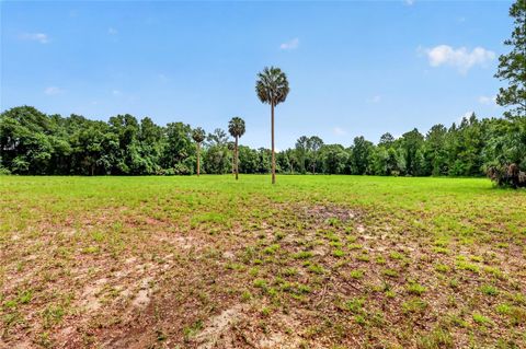 Tiny photo for Kilker Road, Paisley, FL 32767 (MLS # G5113158)
