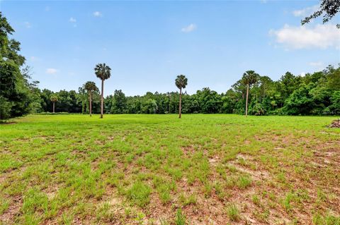 Tiny photo for Kilker Road, Paisley, FL 32767 (MLS # G5113158)
