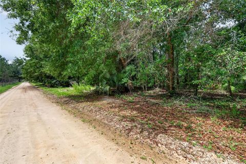 Tiny photo for Kilker Road, Paisley, FL 32767 (MLS # G5113158)