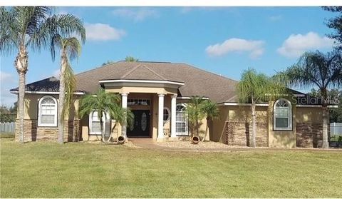 Photo of 14206 Melouga Preserve Trail, Dover, FL 33527 (MLS # O6361392)