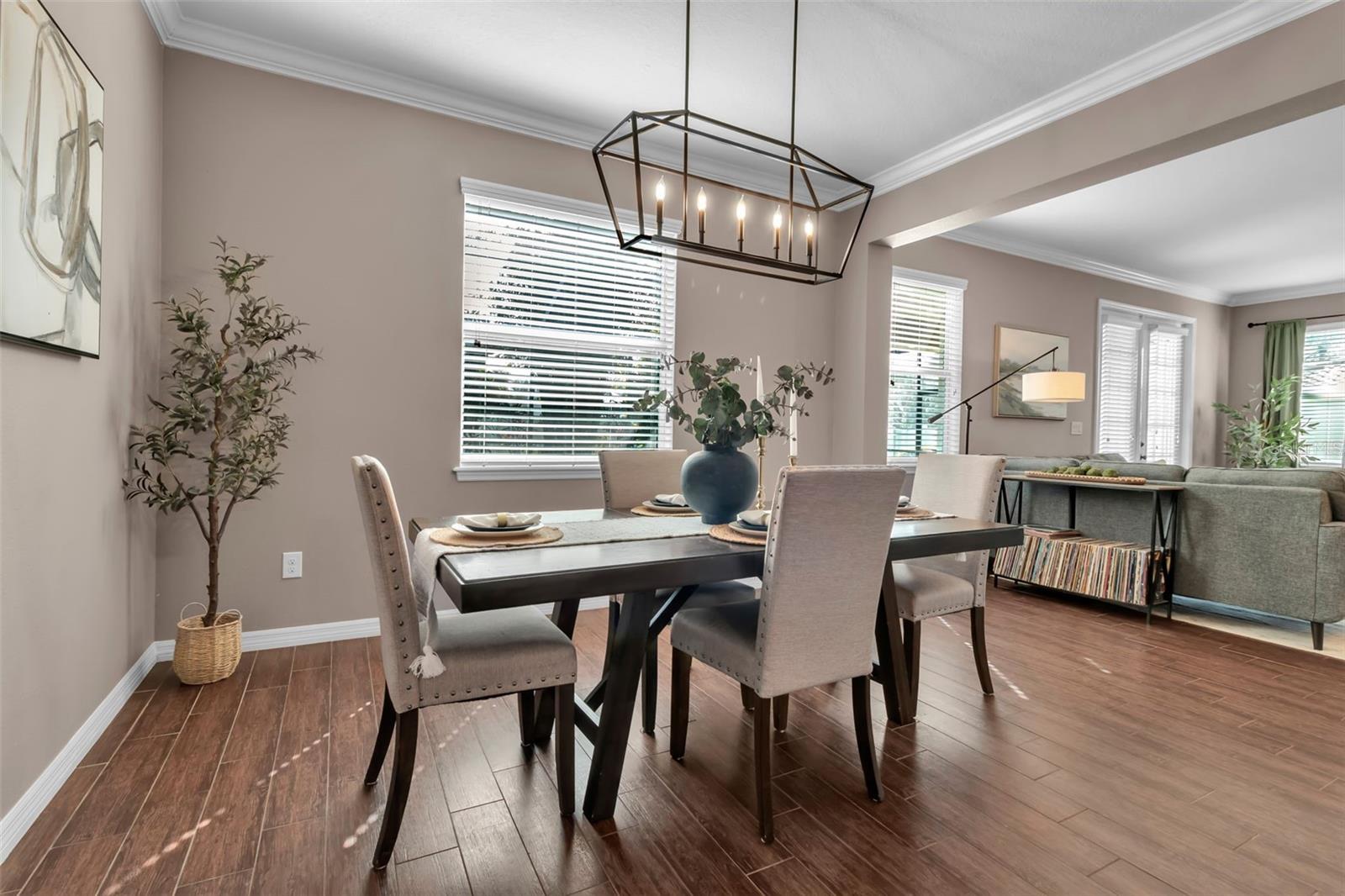 OLD TAMPA ESTATES - Residential