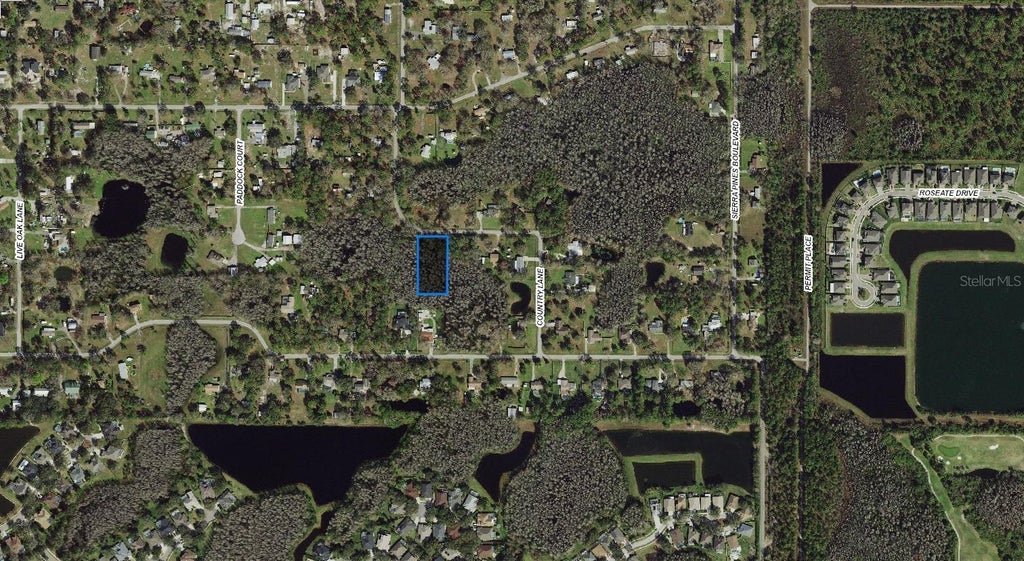 Photo of 32 Country Lane, Lutz, FL 33558 (MLS # A4703566)