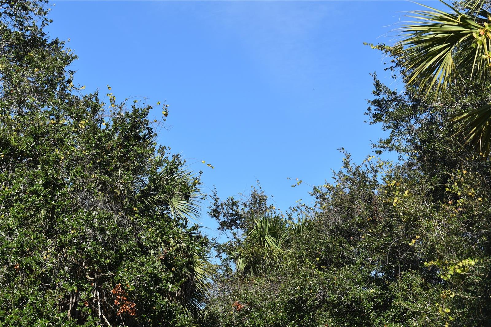 20272 LORETTE AVENUE