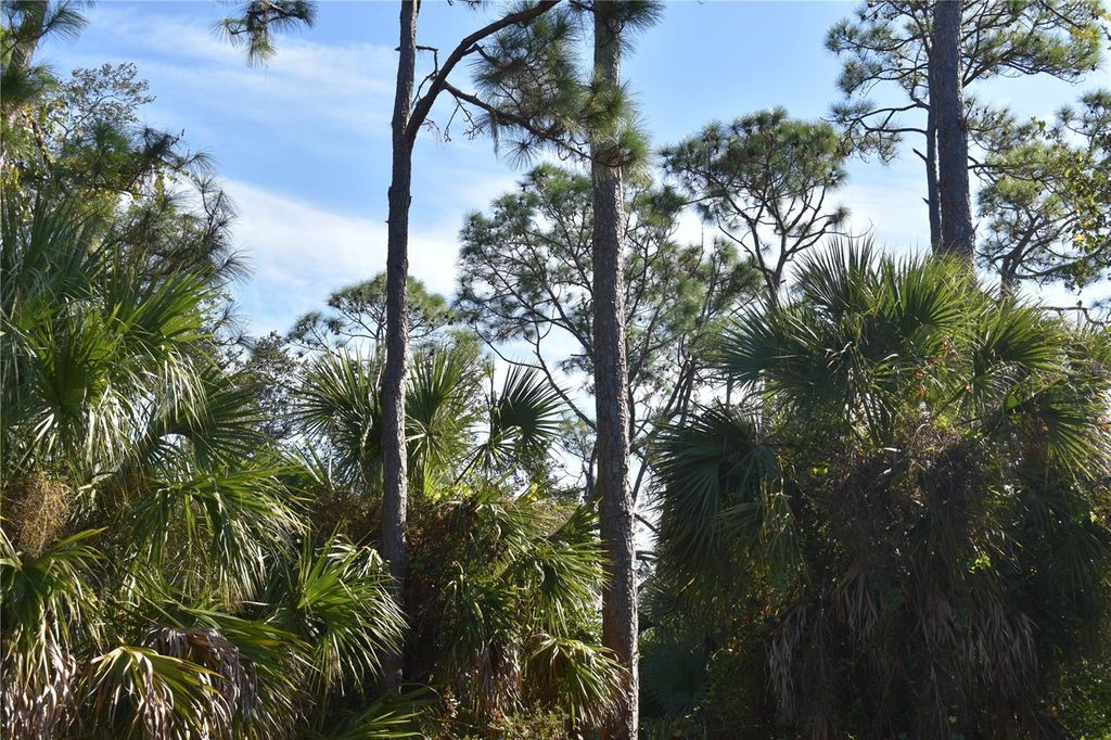 Photo of 20272 Lorette Avenue, Port Charlotte, FL 33954 (MLS # C7518893)