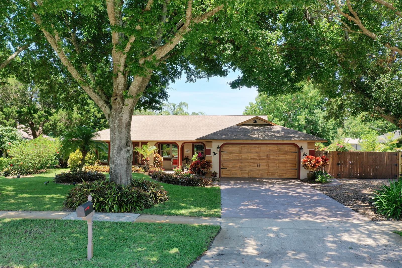 Cypress Cove Ph 01 Rep - Residential