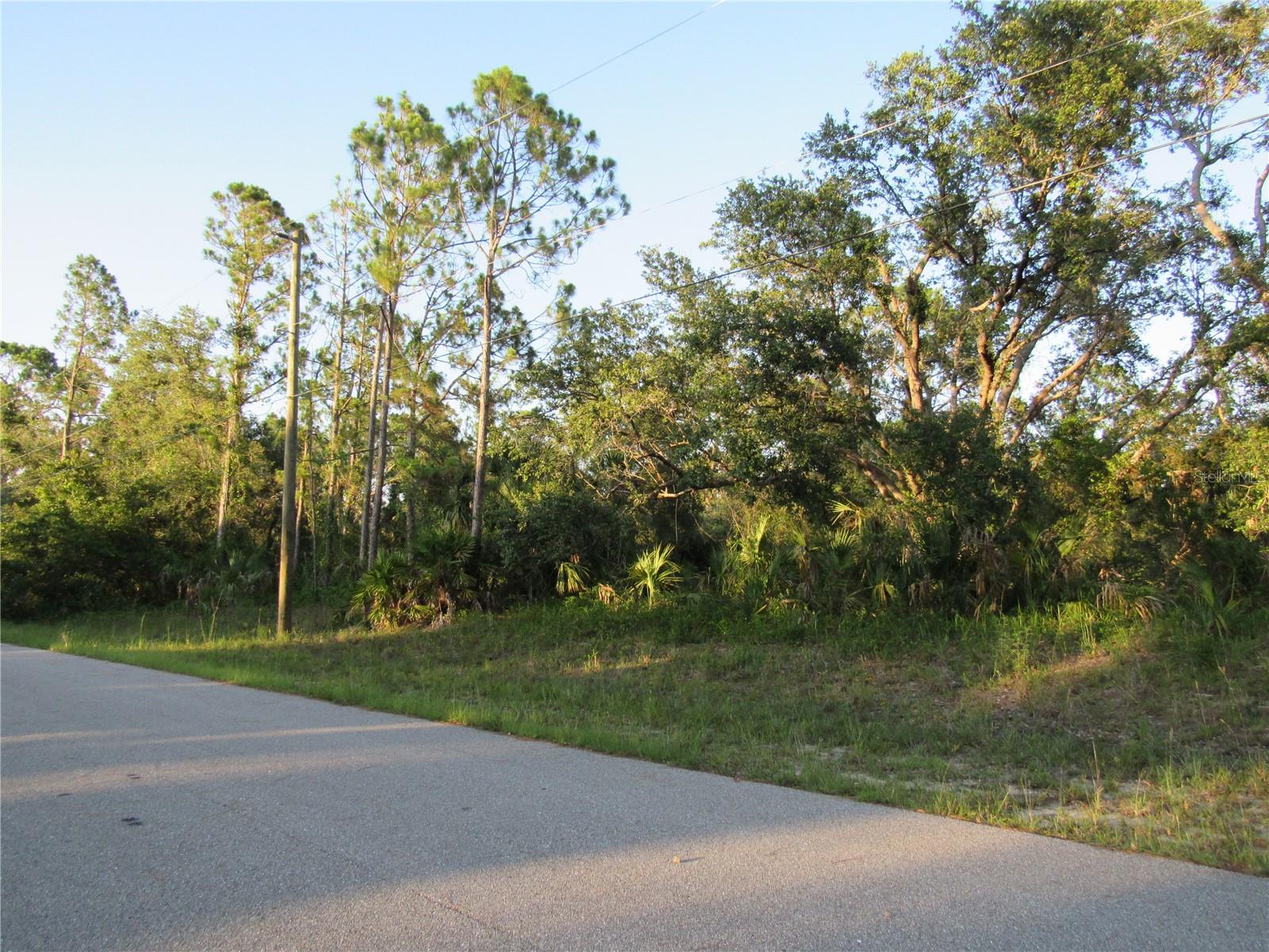 WoW! Beautiful Area to Build Your Dream Home In! Located in the heart of North Port very close to shopping and access to 75. Quiet and Peaceful in this area with country setting! Not far at all from Golf Courses and Beautiful Beaches!