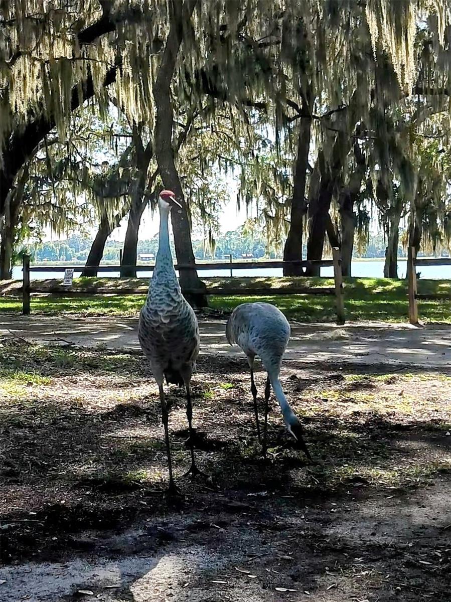 SUPPLEMENTAL ADD ADD - Residential