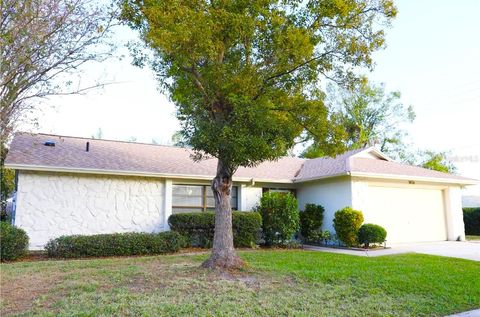 A home in BRANDON