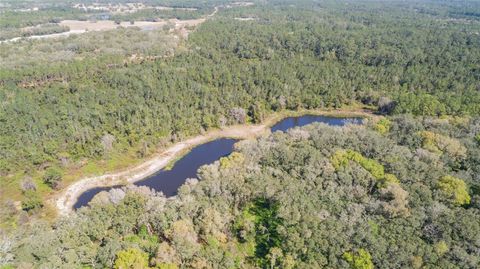 00 SHAW LAKE ROAD PIERSON FL 32180