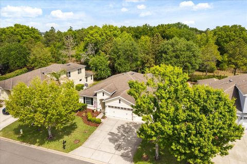 Tiny photo for 30231 Hackney Loop, Mount Dora, FL 32757 (MLS # G5110496)