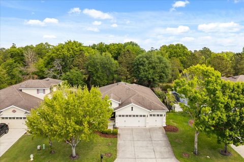 Tiny photo for 30231 Hackney Loop, Mount Dora, FL 32757 (MLS # G5110496)