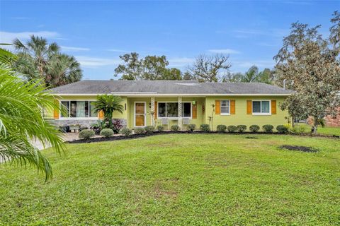 A home in MOUNT DORA