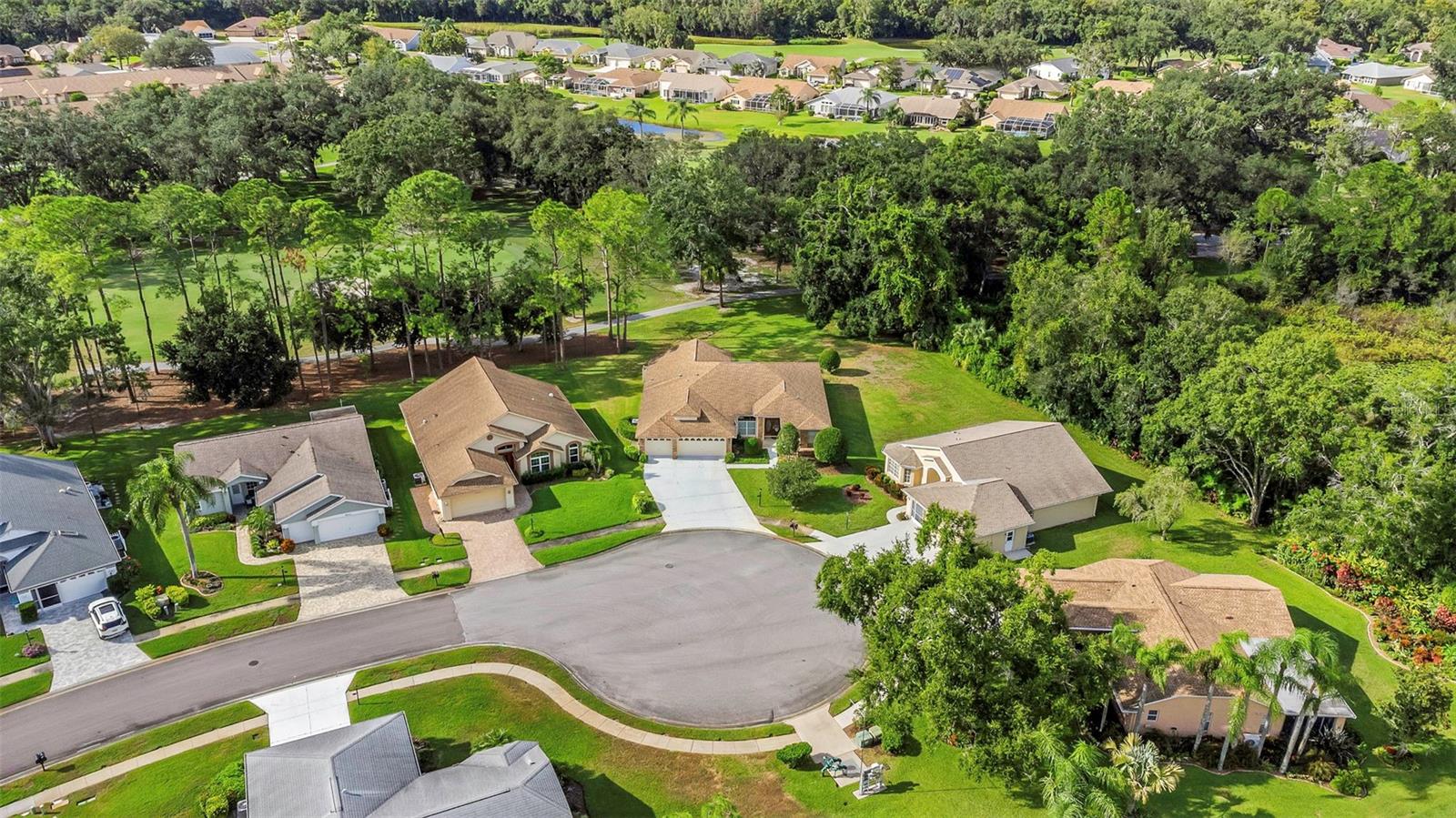 9807 OAKWOOD HILLS COURT