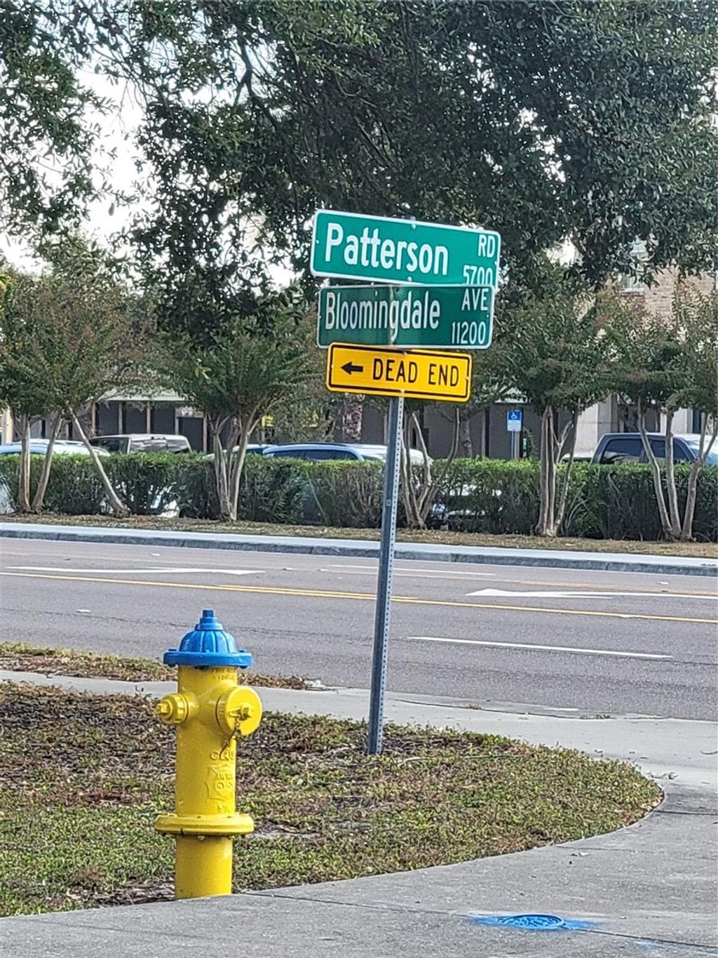 Photo of Bloomingdale Avenue, Riverview, FL 33578 (MLS # TB8449755)