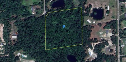 Photo of 1998 Isherwood Terrace, St. Augustine, FL 32092 (MLS # A4669387)
