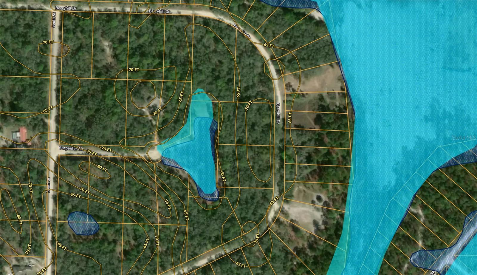 RIDGE MANOR ESTATE - Land