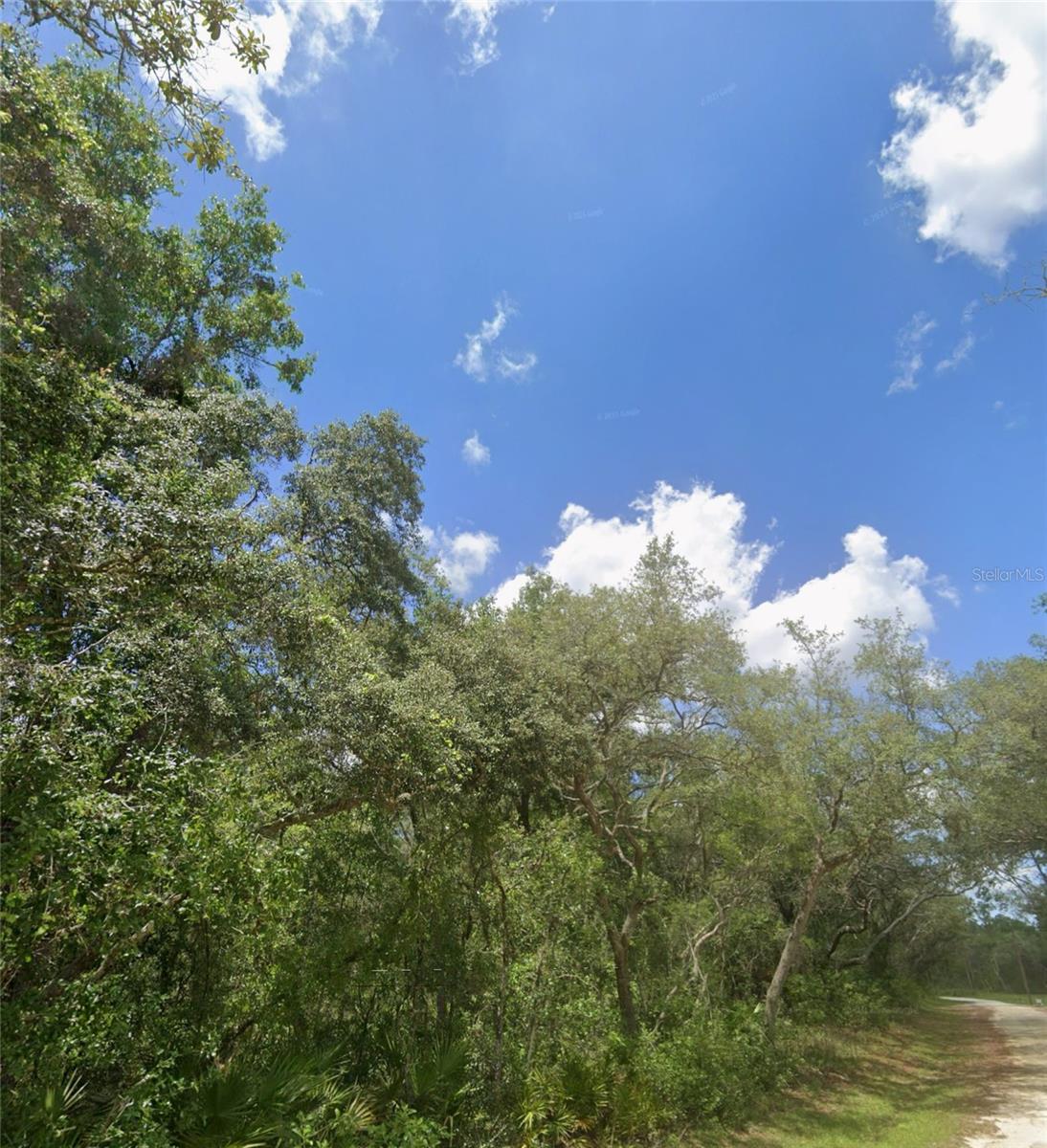 RIDGE MANOR ESTATE - Land