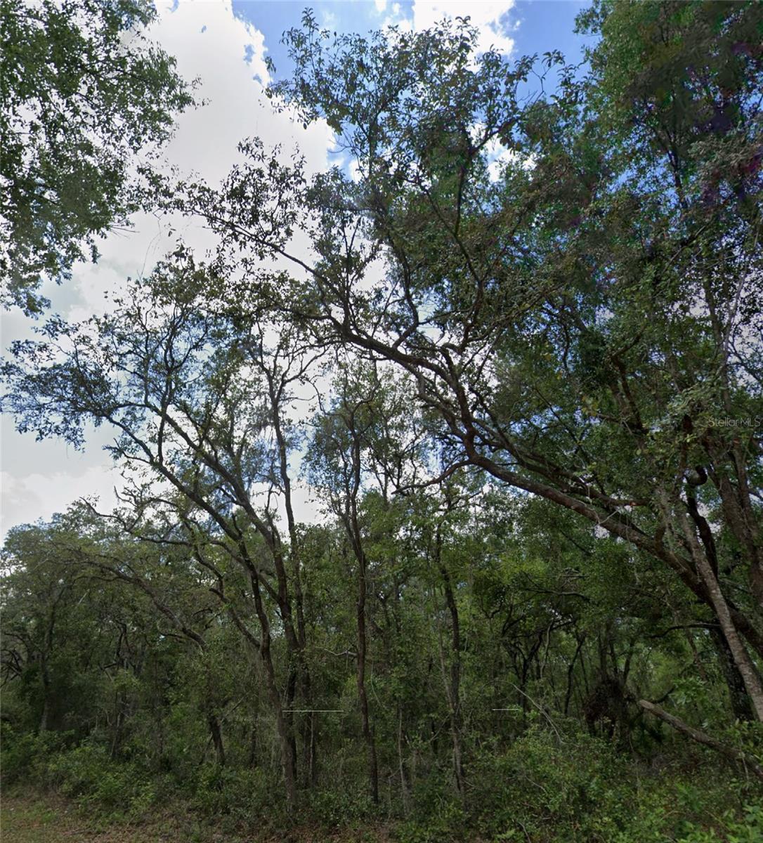 RIDGE MANOR ESTATE - Land