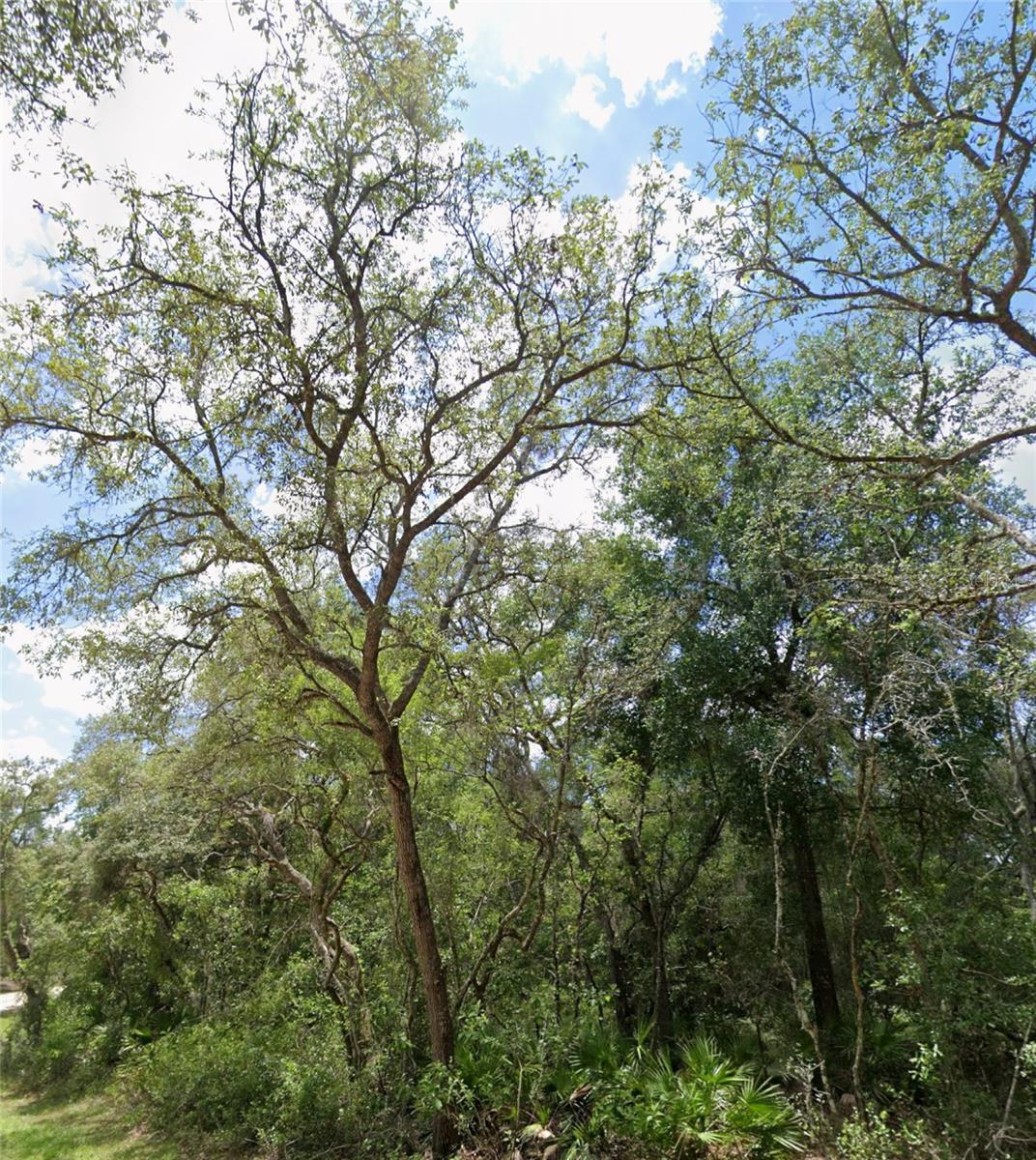 RIDGE MANOR ESTATE - Land