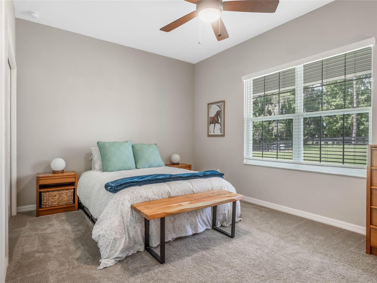 SUNRISE FARMS - Farm