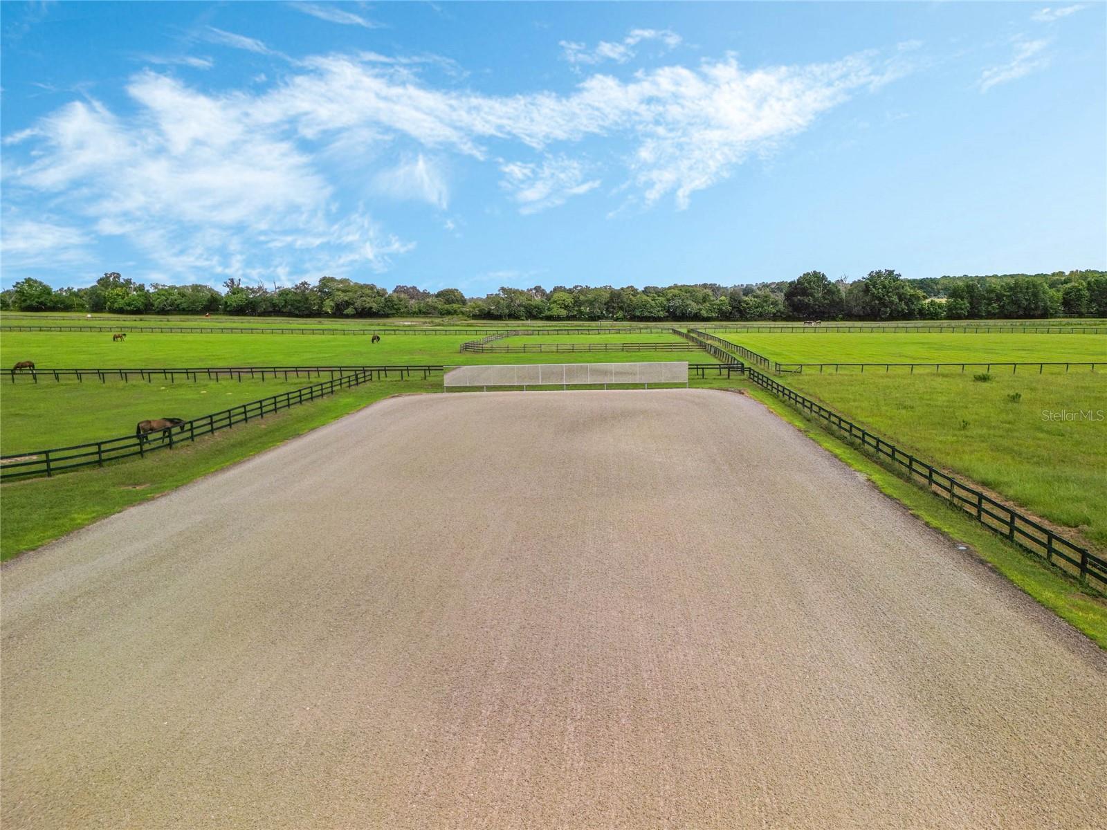 SUNRISE FARMS - Farm